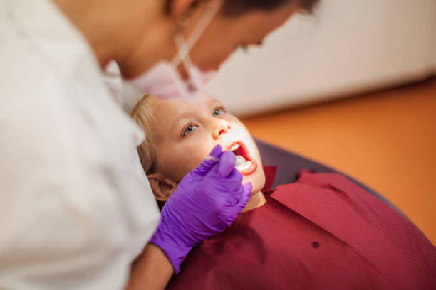 Best Emergency Root Canal Therapy in Palm River Clair Mel, FL