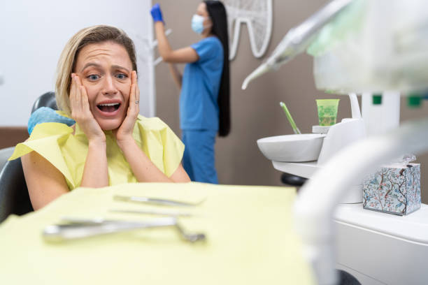 Best Emergency Denture Repair in Palm River Clair Mel, FL